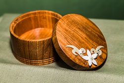 Bill Foster GRH_20180602_Turning_019.jpg