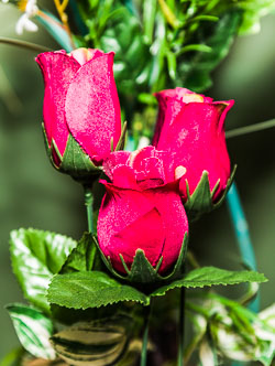 Bill Foster GRH_20180602_Turning_031.jpg