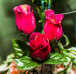 Bill Foster GRH_20180602_Turning_032.jpg