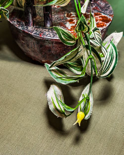 Bill Foster GRH_20180602_Turning_033.jpg