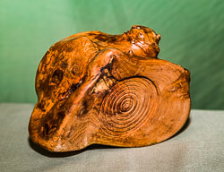 Bernard Perkins GRH_20180915_Turning_031.jpg