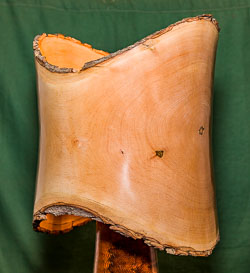 Peter Broadhurst GRH_20190316_Turning_540.jpg