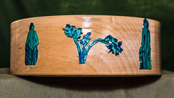 Bill Foster GRH_20190420_Turning_560.jpg