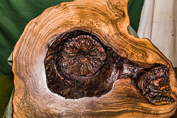 John Stidworthy. GRH_20190518_Turning_539.jpg