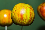 Allen Atkins GRH_20170708_Turning_048.jpg