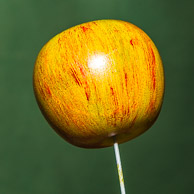 Allen Atkins GRH_20170708_Turning_050.jpg