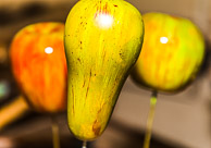 Allen Atkins GRH_20170708_Turning_060.jpg