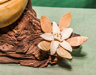 Bill Foster GRH_20170617_Turning_029.jpg