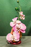 Bill Foster GRH_20170527_Turning_017.jpg