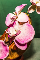 Bill Foster GRH_20170527_Turning_058.jpg