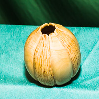 Peter Kemp GRH_20140111_Turning_030.jpg