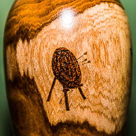 Tino DeJesus, Lesley Wyatt GRH_20170211_Turning_038.jpg