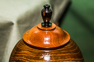 Tino DeJesus, Lesley Wyatt GRH_20170211_Turning_040.jpg