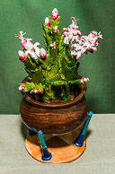 Bill Foster GRH_20170107_Turning_039.jpg