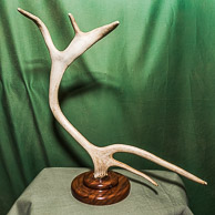 Peter Broadhurst GRH_20170107_Turning_043.jpg