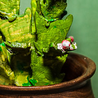 Bill Foster GRH_20170107_Turning_047.jpg