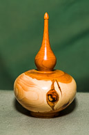 Allen Atkins GRH_20160625_Turning_053.jpg