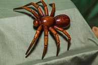 Tino DeJesus GRH_20160227_Turning_056.jpg