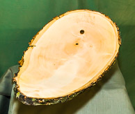 Peter Broadhurst GRH_20150523_Turning_042.jpg