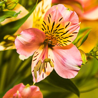 Dave Townes GRH_20150523_Turning_078.jpg