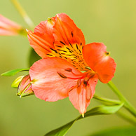 Dave Townes GRH_20150523_Turning_079.jpg