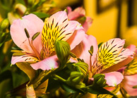 Dave Townes GRH_20150523_Turning_080.jpg