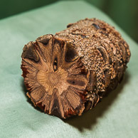 Ron Hodges GRH_20150530_Turning_013.jpg