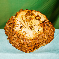 Dick Hines GRH_20140830_Turning_029.jpg