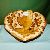 Dick Hines GRH_20140830_Turning_030.jpg