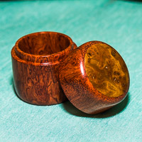 Jan Cranston GRH_20140503_Turning_030.jpg