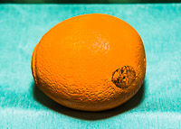 Allen Atkins GRH_20140201_Turning_033.jpg