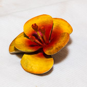 GRH_20120414_MembersDay_096.jpg GRH_20120414_MembersDay_096.jpg