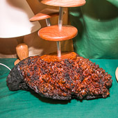 Catherine Thurgood GRH_20111022_Turning_041.jpg