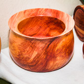 Dick Hines GRH_20110910_MembersDay_057.jpg