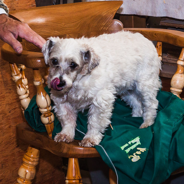 GRH_20120922_Turning_029.jpg