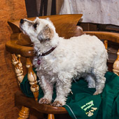 Roy Boulton GRH_20120922_Turning_028.jpg