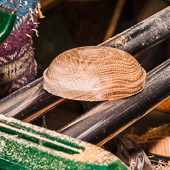 GRH_20120922_Turning_066.jpg GRH_20120922_Turning_066.jpg